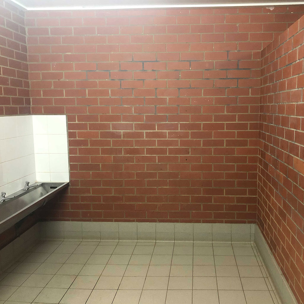 Griffith Public School Murals -