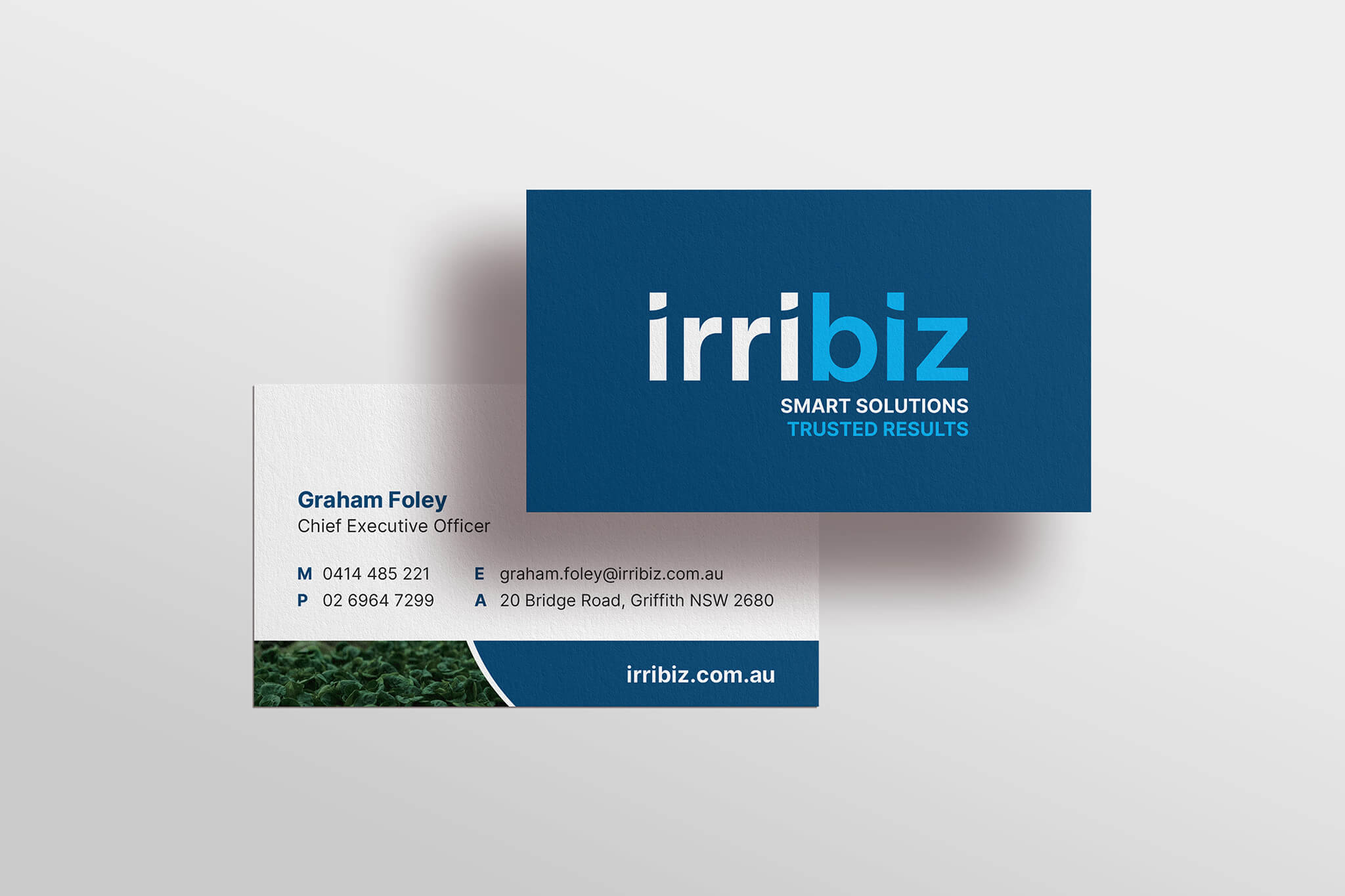 Irribiz -