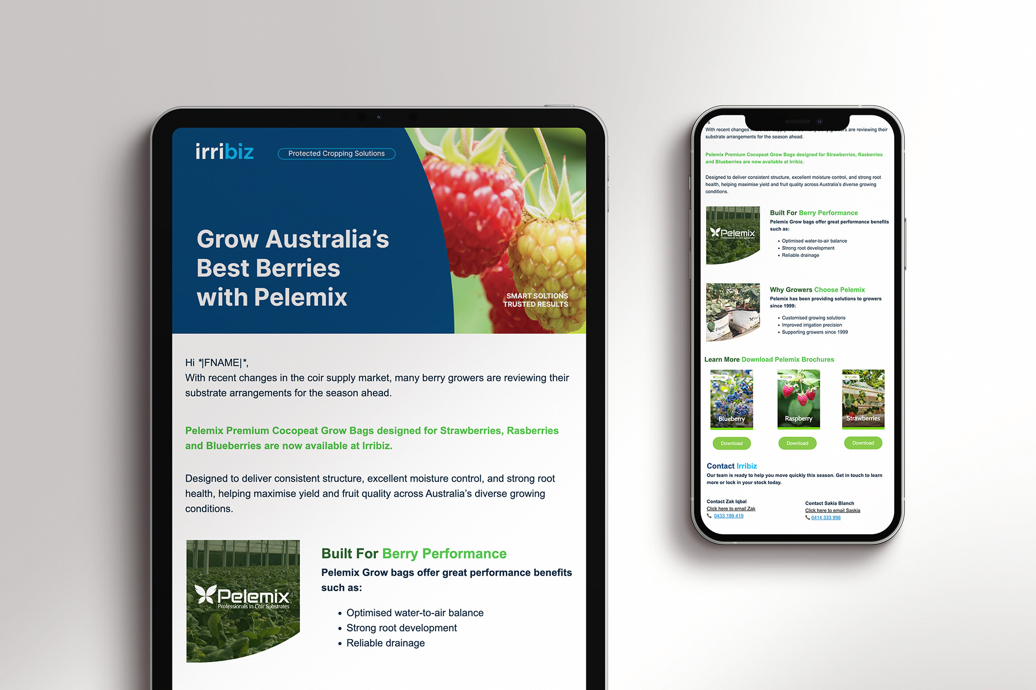 Irribiz -